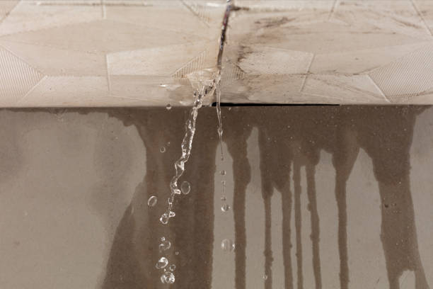 Professional Water Damage Restoration technician working in Deford, MI